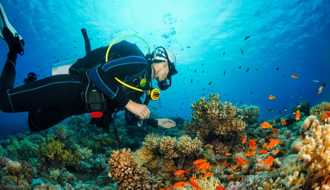 scuba scuba
